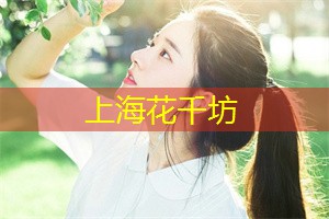 上海各区新茶工作室：上海国的文化融合与多元化社会